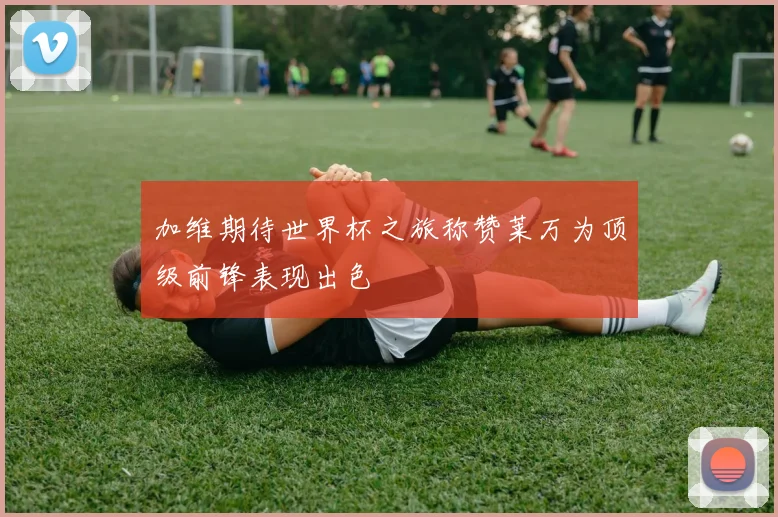 加维期待世界杯之旅称赞莱万为顶级前锋表现出色