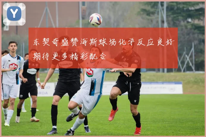 东契奇盛赞海斯球场化学反应良好期待更多精彩配合