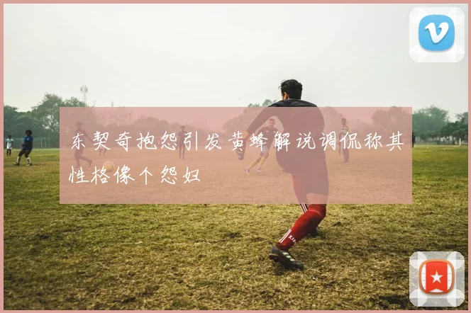 东契奇抱怨引发黄蜂解说调侃称其性格像个怨妇