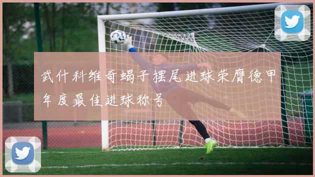 武什科维奇蝎子摆尾进球荣膺德甲年度最佳进球称号