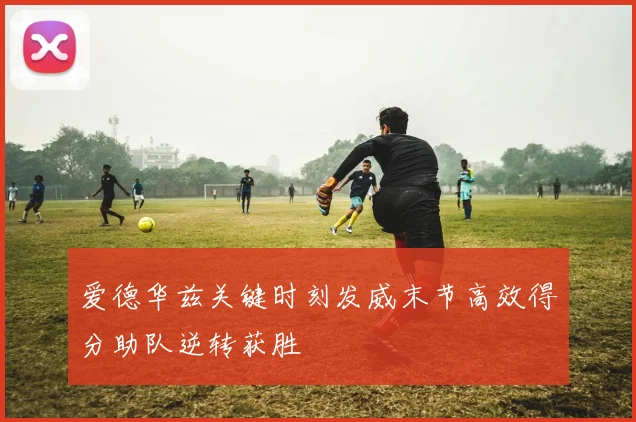 爱德华兹关键时刻发威末节高效得分助队逆转获胜
