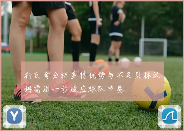 科瓦奇分析多特优势与不足贝林汉姆需进一步适应球队节奏